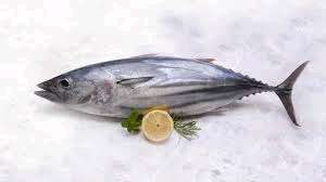 6 Montes de peixe linguado 2