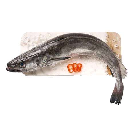 Pescada 7unidades
