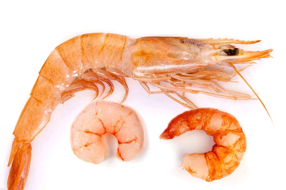 1 kg Gamba