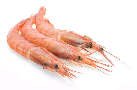 1 kg Camarão n°2