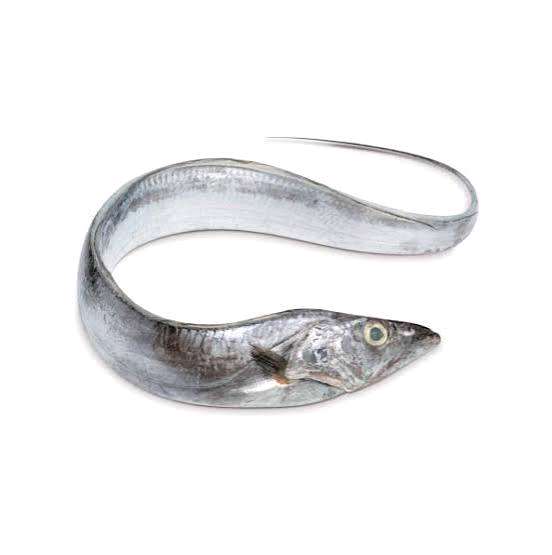 Caixa de Peixe Espada