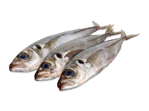 Monte de peixe carapau médio